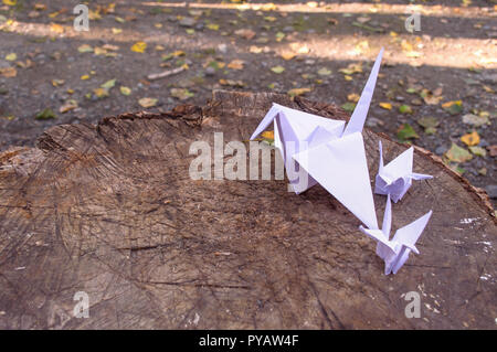 Une grande et deux petites grues de papier blanc sur un concept représentant les familles Banque D'Images