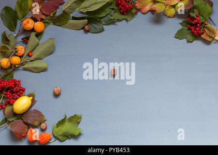 Feuilles d'automne jaune et rouge noix fruits sur fond gris Banque D'Images