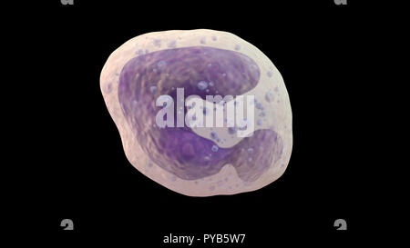 3D illustration de globules blancs basophiles Banque D'Images
