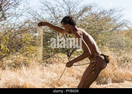 Bushman la chasse avec arc et flèche fait main. Photographié en Namibie Banque D'Images