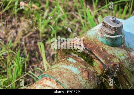 Rupture de l'eau tube de plomberie et fuite à attendre la réparation plombier Banque D'Images