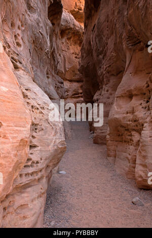 NV00041-00...NEVADA - Un slot canyon situé sur le sentier en boucle de dômes blancs dans la Vallée de Feu State Park. Banque D'Images