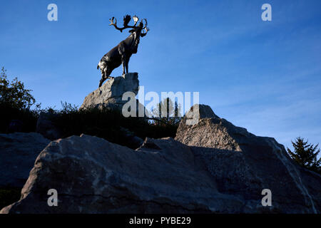 Partiellement conservé des tranchées au Parc commémoratif de Terre-Neuve à Beaumont-Hamel sur la bataille de la Somme en France Banque D'Images