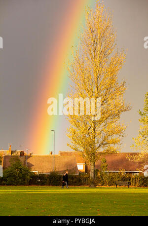 Billingham, Angleterre du Nord-Est, Royaume-Uni. 26 octobre 2018. Météo : Superbe fin d'après-midi hivernal comme arc-en-ciel gratuites soufflent dans sur une force de coup de vent du nord soufflant vers le bas à partir de l'Arctique ; apporter de l'hiver et les températures froides bitingly douches pour une grande partie de l'UK le vendredi et samedi. Credit : ALAN DAWSON/Alamy Live News Banque D'Images