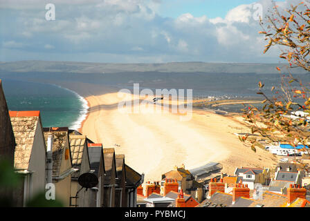 Portland, UK. 26 octobre 2018. Une pie se précipite sur plage de Chesil sur froid et ensoleillé jour pour l'Île de Portland, dans le Dorset Crédit : Stuart fretwell/Alamy Live News Banque D'Images