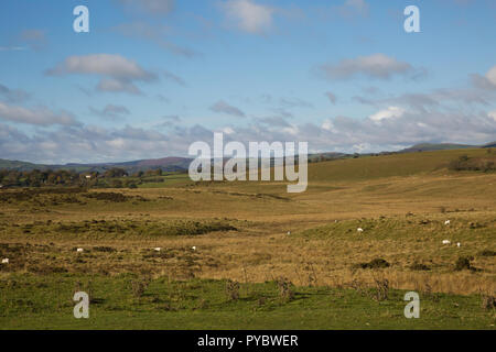 Llandegley, UK. 27 octobre 2018. Ciel bleu sur Llandegley au Pays de Galles comme la basse pression apporte par temps froid pour le Royaume-Uni. Credit : Keith Larby/Alamy Live News Banque D'Images