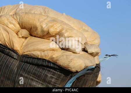 Gros sac rempli de feuilles de plastique. Dirdy feuilles plastiques déchets dans un énorme sac noir, Close up. Utilisation de plastique agricole. Banque D'Images