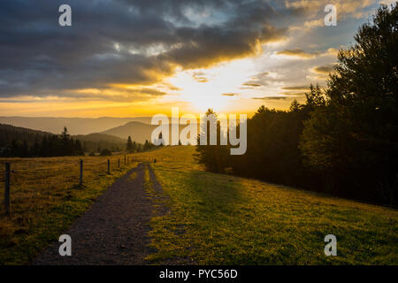L'Allemagne, le long de sentiers de randonnée dans le paysage naturel de la forêt-noire dawning light tôt le matin