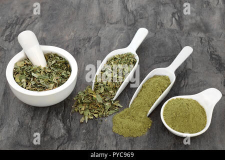 Oliefera Moringa herb leaf et en poudre dans un mortier avec pilon & scoops sur du marbre. Utilisé pour traiter les rhumatismes, l'anémie, le cancer, le diabète, diarreah,, co Banque D'Images