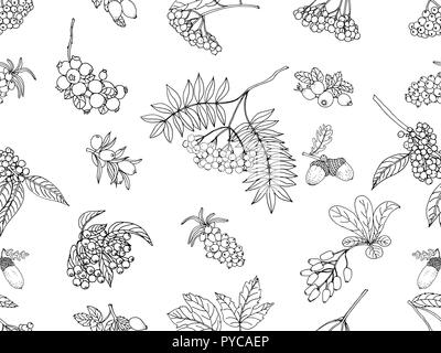 Profil de transparente esquisse dessinée à la main les plantes automne style isolé sur fond blanc. Vector illustration. Illustration de Vecteur