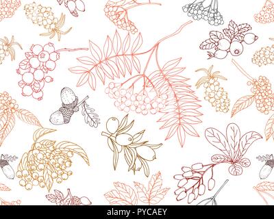 Motif de la main transparente colorée style croquis plantes automne isolé sur fond blanc. Vector illustration. Illustration de Vecteur