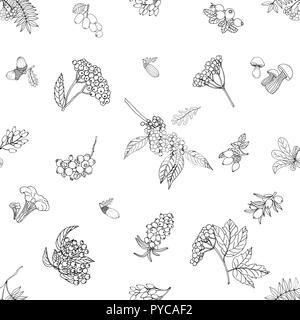 Profil de transparente esquisse dessinée à la main les plantes automne style isolé sur fond blanc. Vector illustration. Illustration de Vecteur