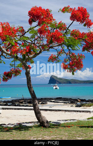 Vue nord vers l'île plate de Cap Malheureux, Ile Maurice. Banque D'Images