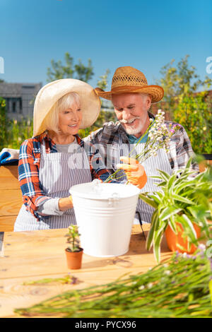 Belle dame âgée wearing straw hat holding blanc et violet fleurs des champs Banque D'Images