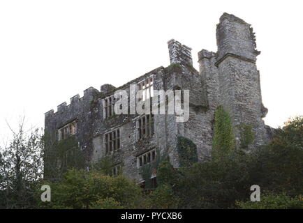 Château de Berry Pomeroy, Devon : angle bas, photo extérieure du château Banque D'Images