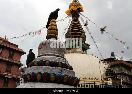 Les oiseaux autour du stupa (et ses yeux) au milieu de Katmandou marché local. Prises au Népal, août 2018. Banque D'Images