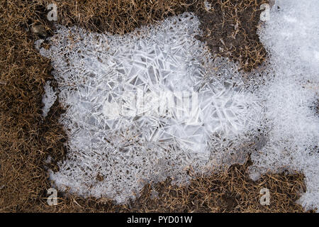 La texture des flocons de neige et de glace à partir de place dans la nature à zéro point, brouillard et temps de brume jour heure, Sikkim, Inde du Nord Banque D'Images