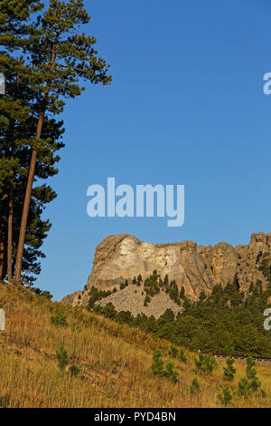 Vue de loin le Mont Rushmore si la forêt Banque D'Images