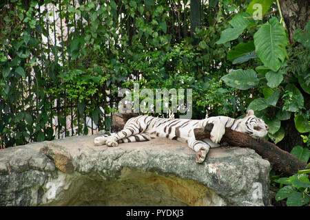 Tigre blanc dormir et se détendre en cage au parc public à Bangkok, en Thaïlande pour les Thaïlandais et les voyageurs étrangers à la recherche de voyage et visite à pied Banque D'Images