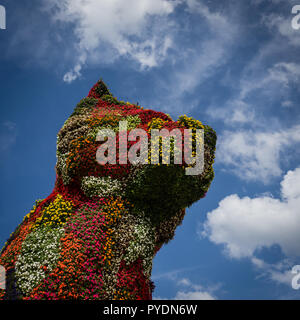 Chien avec des fleurs à Bilbao, chiot près de off Musée Guggenheim, Pays Basque en Espagne Banque D'Images