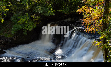 Lumière d'automne sur le milieu de travail, Aysgarth, Wensleydale, Yorkshire, UK Banque D'Images