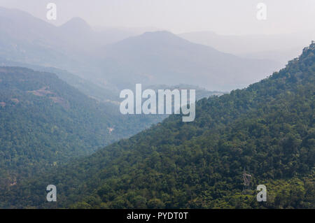 Cette photo a été faite à Munnar environs des montagnes dans l'état du Kerala, en Inde du Sud en janvier 2015. Banque D'Images