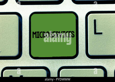 L'écriture de texte Word Microservices. Concept d'affaires pour le développement de logiciels de construction technique module de fonction unique. Banque D'Images