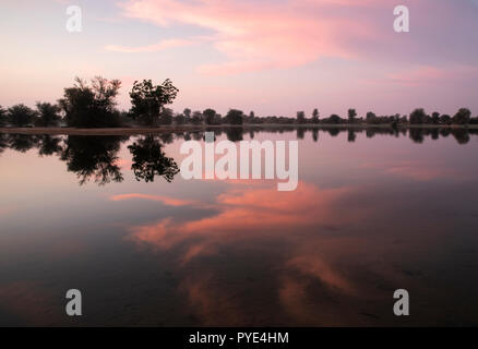 Sunraise à al Qudra lake, près de Dubai Banque D'Images