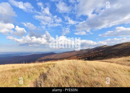 Paysage d'automne des Bieszczady en Pologne Banque D'Images