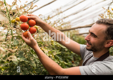 Bel homme jeune agriculteur à l'œuvre dans les émissions de Banque D'Images