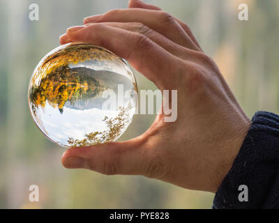 Libre d'une bille de verre tenu par une main humaine en raison de la zone boisée à l'intérieur de la sphère. Objectif forêt ball Banque D'Images