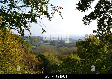 Vue d'Automne Célèbre à Emmetts Garden à l'ensemble du sud-est et de l'Hêtre Branche Weald of Kent. Un des points les plus élevés dans le Kent. Automne/automne Banque D'Images