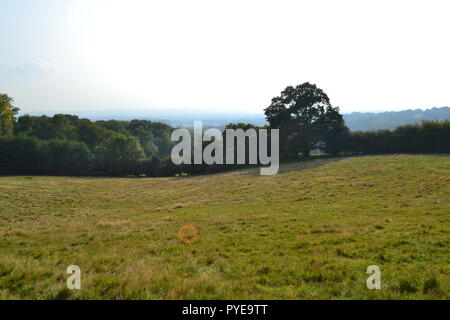 Dans la vallée entre l'Ide Hill et Scord Bois, près de Emmetts Garden, Kent, Angleterre, Royaume-Uni. Un jour au début de l'automne avec le soleil doux et léger brouillard. Banque D'Images