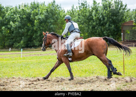 Saint Cyr du Doret, France - le 29 juillet 2016 : Cavalier sur son cheval au galop lors d'une manisfestation de cross-country Banque D'Images