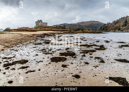 Les ruines du clan Macdonald 13e siècle Castle Tioram, sur les rives du Loch Moidart dans l'ouest de l'Écosse Banque D'Images