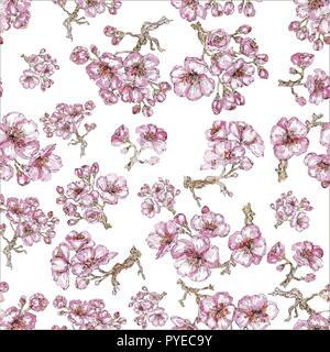 Sakura aquarelle modèle. Seamless texture naturelle avec cherry blossom tree branches. Japonais à la main fleurs sur fond blanc Illustration de Vecteur