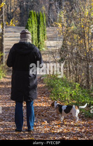 Vue arrière de la femme marcher avec un beagle dans le parc. Banque D'Images