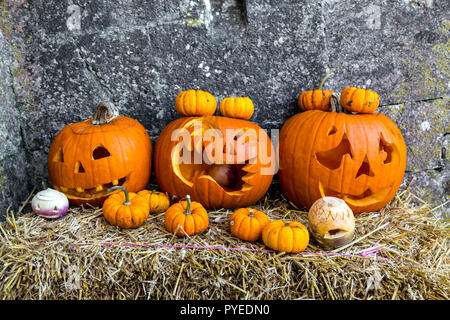 Citrouilles d'Halloween sculptées (Château de Corfe, Dorset, Royaume-Uni) Banque D'Images