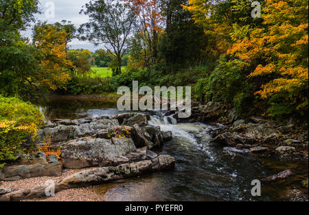 L'eau s'écoule plus de rocky creek bed avec nuances dorées de l'automne feuillage d'automne Banque D'Images