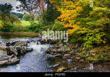 L'eau s'écoule plus de rocky creek bed avec nuances dorées de l'automne feuillage d'automne Banque D'Images