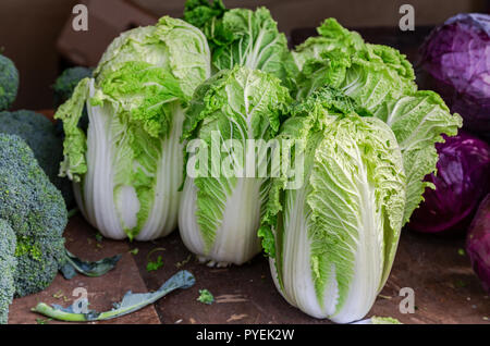 Le chou vert frais de nouvelle récolte prête à vendre au marché des fermiers Banque D'Images