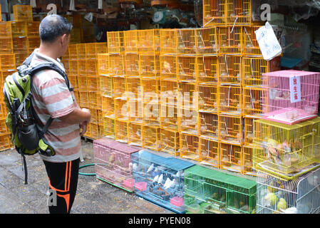 Yuen Po Oiseau , Oiseaux marché, Boundary Street, Mong Kok, Kowloon, Hong Kong, Chine Banque D'Images