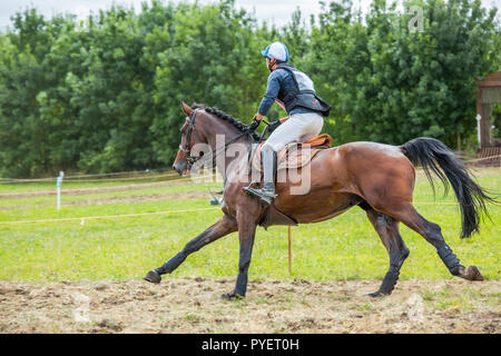 Saint Cyr du Doret, France - le 29 juillet 2016 : Cavalier sur son cheval au galop lors d'une manisfestation de cross-country Banque D'Images