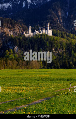 Château de Neuschwanstein dans les Alpes d'Ammergau près de Schwangau, en face de Säuling, dans le district d'Ostallgäu, Allgäu, Bavière, Allemagne Banque D'Images