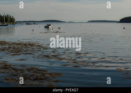 Bateaux et barques au repos dans les locataires Harbor, Maine. Accueil de la famille Wyeth peintres, c'est une destination de vacances idéale. Un paradis de vacances. Banque D'Images