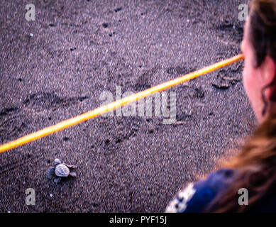 Woman holding baby tortue de mer à Monterrico Guatemala Banque D'Images