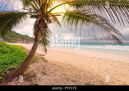 Tropical Beach au coucher du soleil au jour de tempête. Banque D'Images