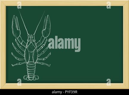 Croquis du homard. La craie sur tableau noir vert Illustration de Vecteur