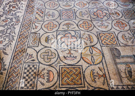 L'Italie, Frioul-vénétie Aquilee, Aquileia, Basilique Patriarcale de Santa Maria Assunta, mosaïque du 4e siècle Banque D'Images