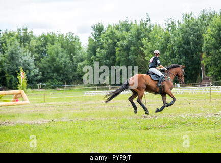 Saint Cyr du Doret, France - le 29 juillet 2016 : Cavalier sur son cheval au galop lors d'une manisfestation de cross-country Banque D'Images